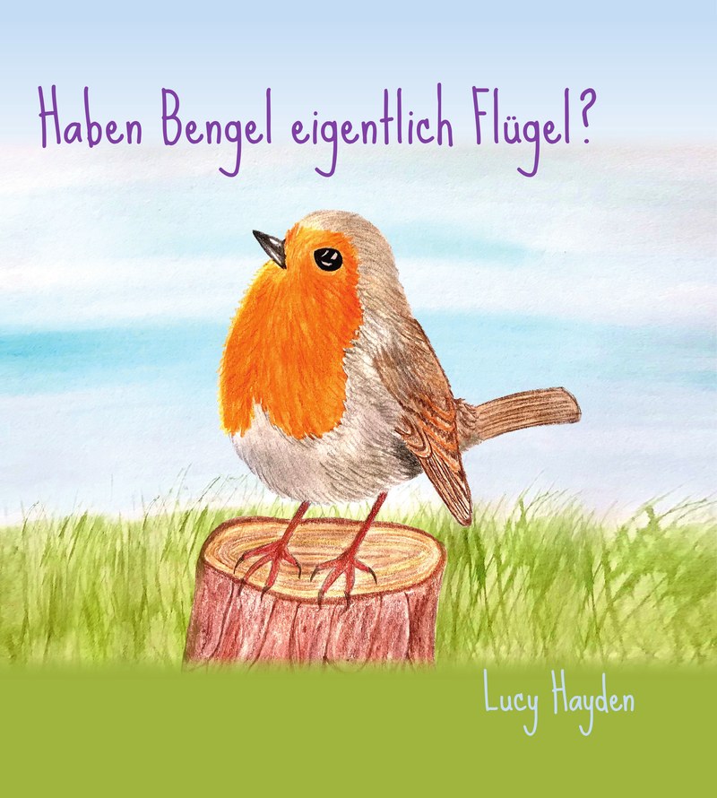 Buchcover: Haben Bengel eigentlich Flügel? von Lucy Hayden